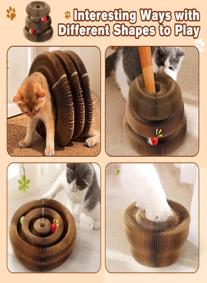 DoubleCare Double Layer Magic Organ Cat Scratcher Board with 4 Interactive Balls and 1 Interactive Cat Feather Toy, Foldable Scratching Pad for Indoor Cats, Magnetic Interactive Organ Toy, Portable Cat Toys - Image 3